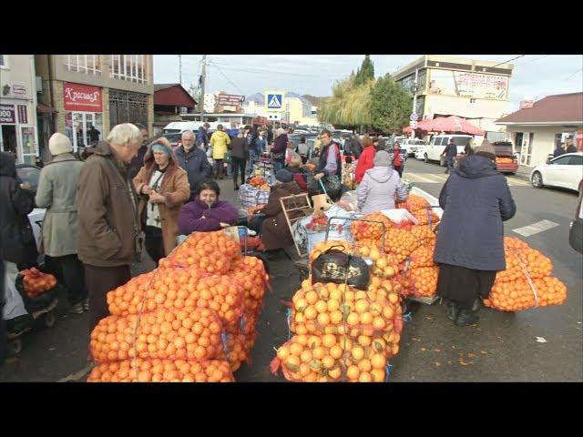 Небывалый урожай мандаринов собрали в Абхазии