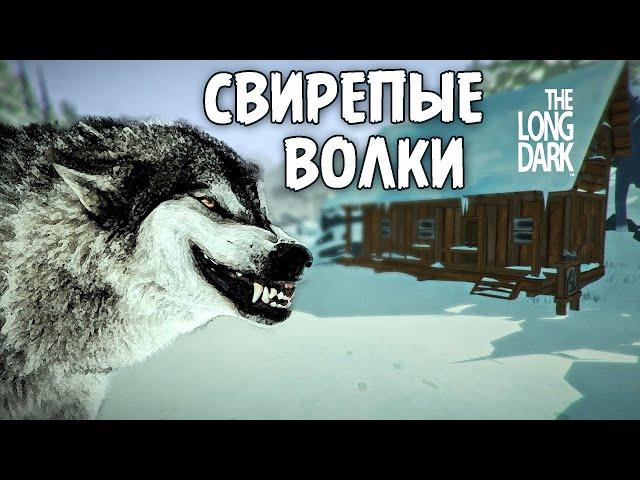 The Long Dark.  Свирепые, лесные волки.