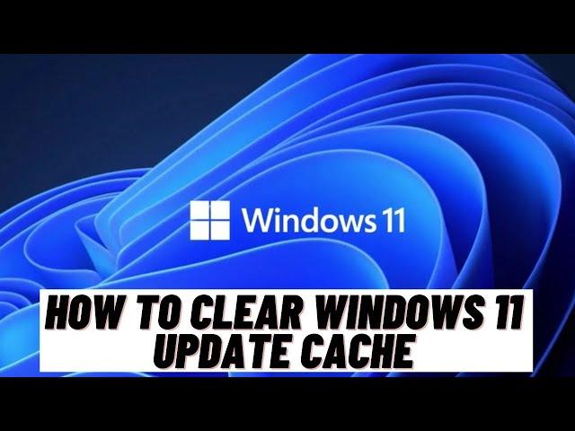 How to Clear Windows 11 Update Cache and Fix Windows 11 Update