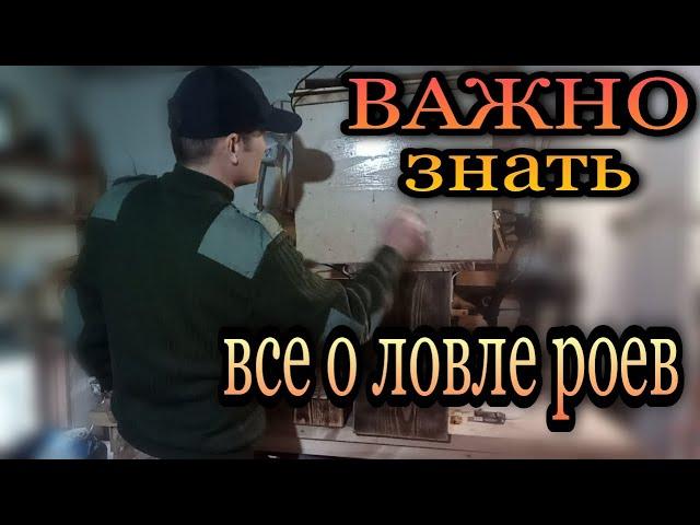 Ловля роев. Выбор места ловушки для пчел