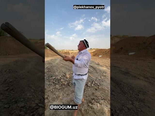 3 ноября 2024 г.