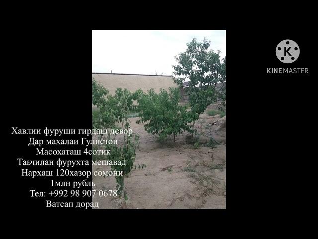 Исфара хавлии фуруши Гулистон