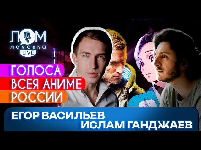 Егор Васильев и Ислам Ганджаев: Всё уйдёт, а Россия останется / Ломовка Live выпуск 101