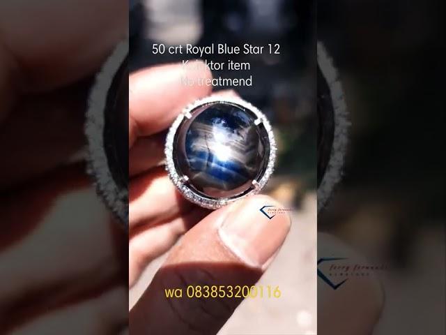 Bluesapphire Kolektor item 50 Crt Bluesaphire STAR 12 Royal Blue#bodysexy#sexy#semok