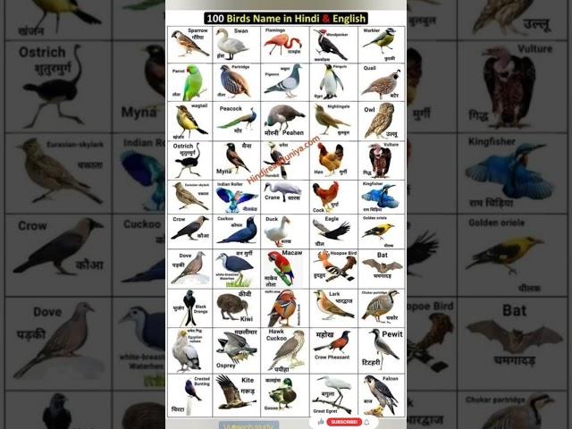 100 birds name in images with English name #gk #gkgs #study #important short video vviteach study