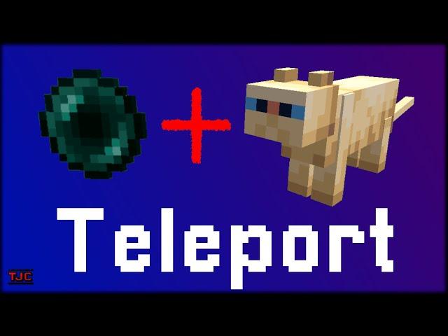 TELEPORT im SURVIVAL (nur per REDSTONE) | TUTORIAL | MC Java 1.19+