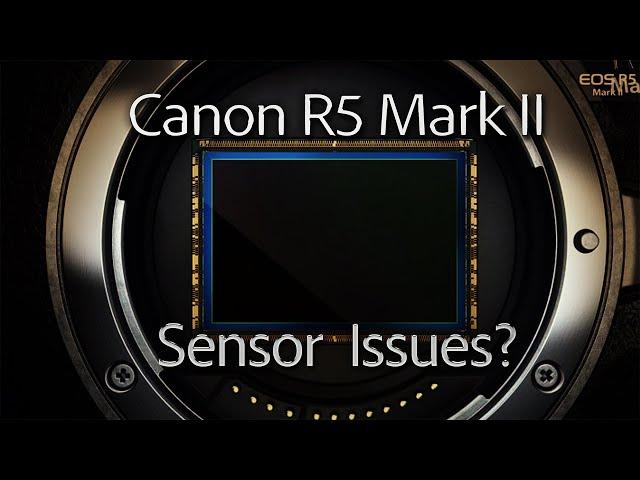 Canon R5 Mark II - Sensor Issues? Dynamic Range Loss? Does it matter?