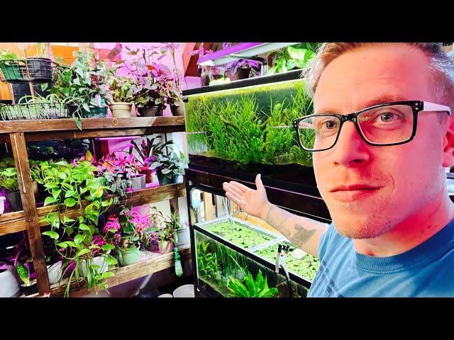 Houseplant TOUR - Crazy Plant Lady Meets Weird Aquarium Guy