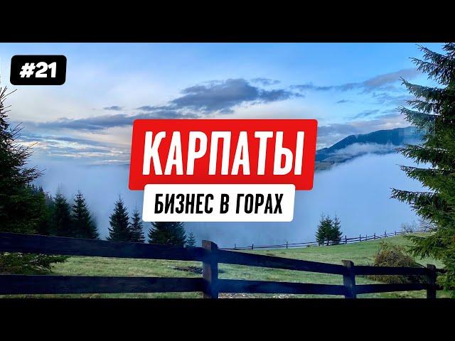 Домик в Карпатах: разбор бизнеса