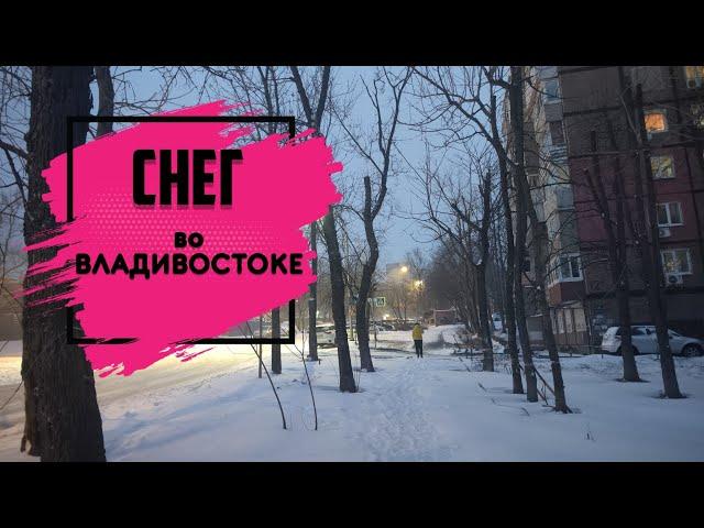 Владивосток январь 2025