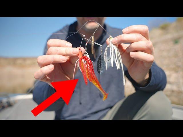 This Is The Easiest Way To Catch Fish In Pre-Spawn!