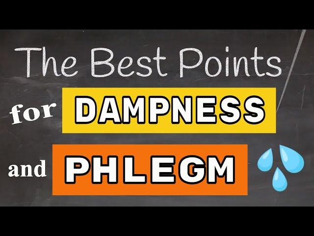 Best Acupuncture Points for Dampness & Phlegm