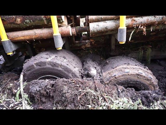 Valtra T144 with large trailer Kronos 160 4WDM logging in wet forest, stuck in the mud