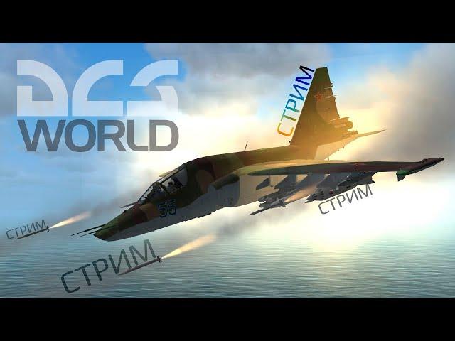 Новичок лезет в онлайн  DCS