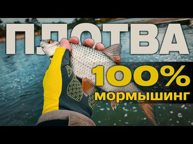  ТОП-3 ЦВЕТА ДЛЯ ПЛОТВЫ! ТАНТА С ЧЕСНОКОМ РВЁТ! Плотва атакует без остановки! #мормышинг - СИЛА