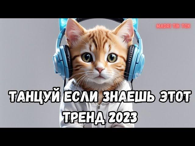 ТАНЦУЙ ЕСЛИ ЗНАЕШЬ ЭТОТ ТРЕНД 2023