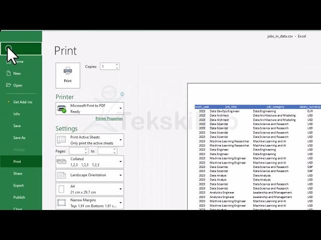 Excel Printing Setup