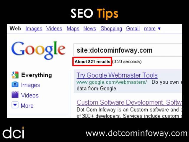 Basic SEO Tips, SEO Tutorial - Website Index Status