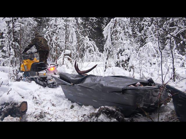 OFF-GRID LOG CABIN. HUNTER'S HUT. MOOSE HUNTING.