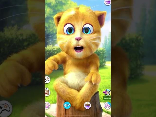  Ginger’s FUNNIEST Conversations with Talking Tom! 