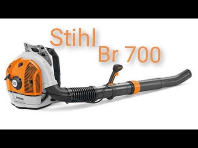 stihl br700 .когда не делают ТО.