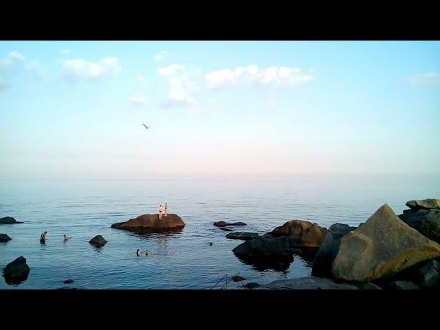 Алупка Большая Ялта Крым Дорога на детский пляж Алупка Детский пляж Воронцовский Дворец