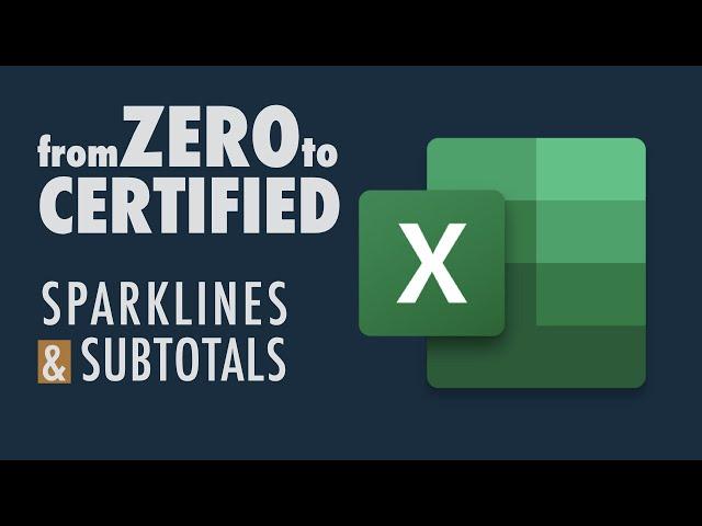 Microsoft Excel Basics - Sparklines and Subtotals (for quick data visualization)