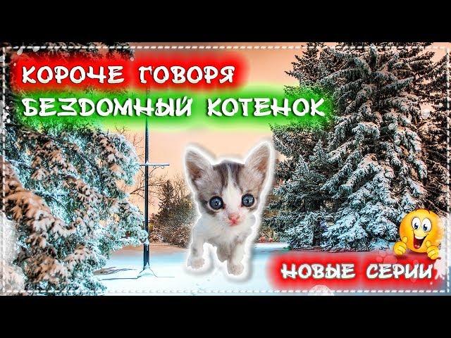 КОРОЧЕ ГОВОРЯ, Я БЕЗДОМНЫЙ КОТЕНОК Лайки новые серии [От первого лица] История одной жизни