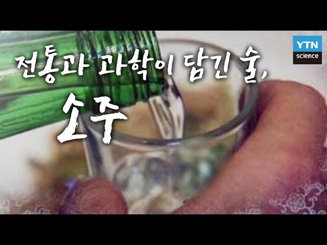 전통과 과학이 담긴 술, 소주 / YTN 사이언스