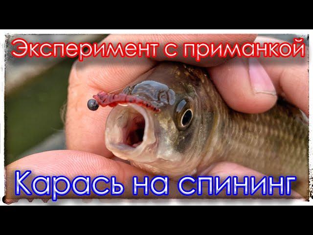 Эксперимент с приманкой. Карась на спиннинг. Мормышинг