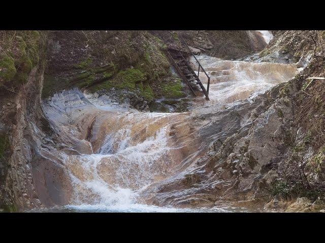 Лайтовый водопад (крыло ангела) Жадановский