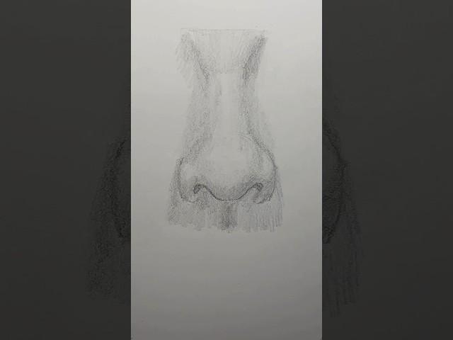 Draw a nose  Easy drawing lesson for beginners on how to draw a nose. #drawinglesson