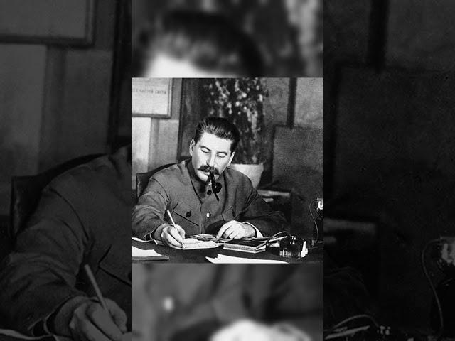 Remi Meisner о Dharma1937