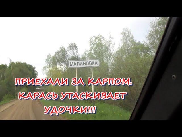 ПРИЕХАЛИ ЗА КАРПОМ  КАРАСЬ УТАСКИВАЕТ УДОЧКИ!!!