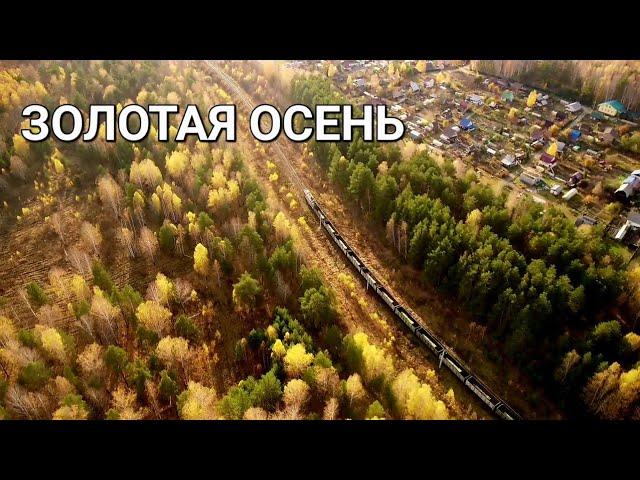 ЗОЛОТАЯ ОСЕНЬ с ВЫСОТЫ ПТИЧЬЕГО ПОЛЕТА  | Dji | 4K #осень #природа #урал #dji