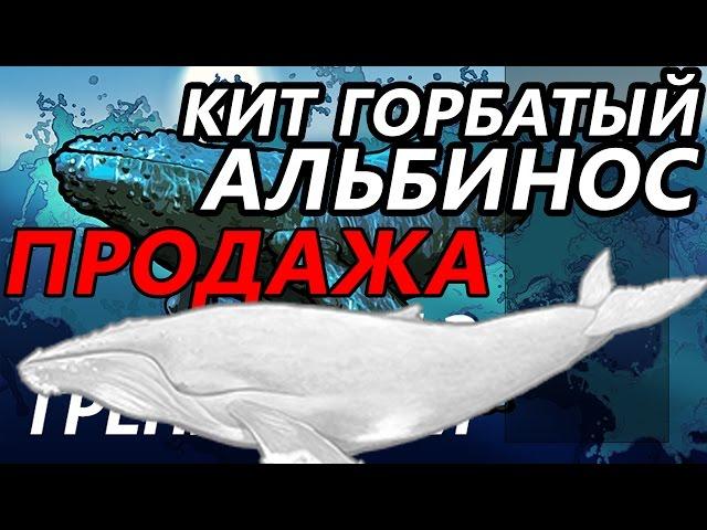 Продажа Альбиноса / РР3 [ Русская рыбалка 3.9 Гренландия]