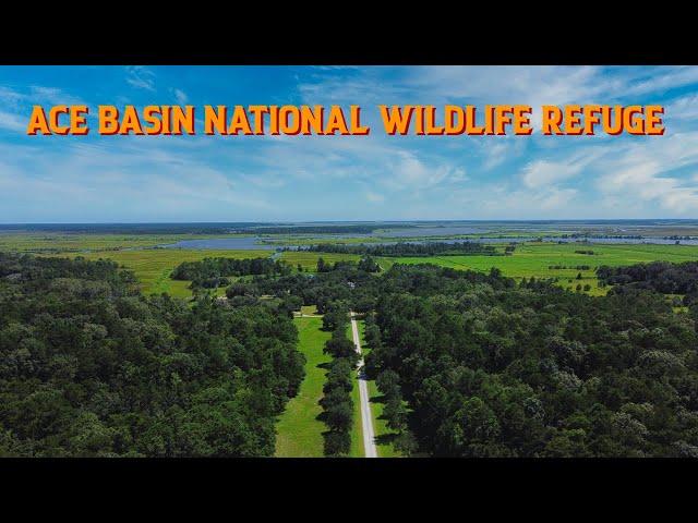 Biking the Ace Basin | Ernest F. Hollings National Wildlife Refuge