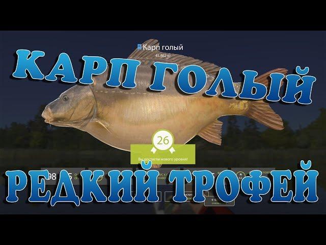 Russian Fishing 4/ Редкий Троф ( Карп Голый ) / Оз.Медвежье