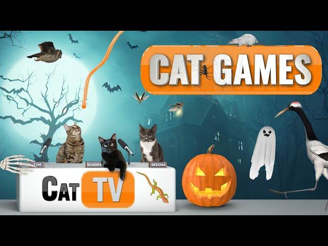 Cat Games | Purranormal Playtime: A Spooky Halloween Cat TV Special  | Videos For Cats to Watch 