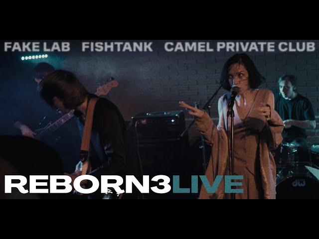 REBOR№3 – концерт от Musicians.Minsk (Fishtank, Camel Private Club, Fake Lab) 20 августа 2023