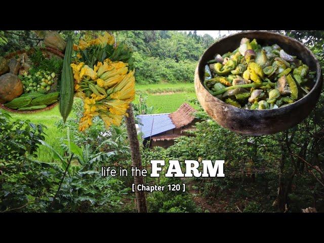 Living in the farm surrounded by nature in a MODERN BAHAY KUBO [alone] my simple & peaceful life