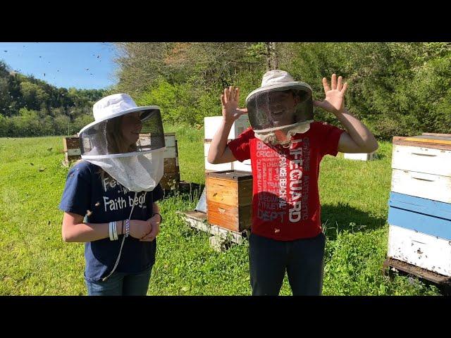 3 Questions I Asked a Professional Beekeeper in Tennessee.