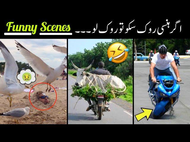 MOST FUNNY VIDEOS ON INTERNET  - part;-129 || most funny moments caught on camera