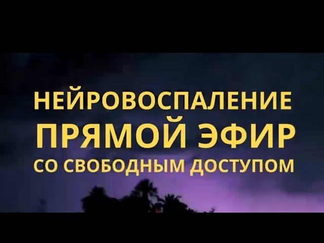 Нейровоспаление, как причина: аутизм, сдвг, зпр, зпрр, зрр