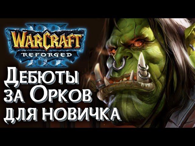 Дебюты за Орков для новичка: Разбираемся в Warcraft 3 Reforged