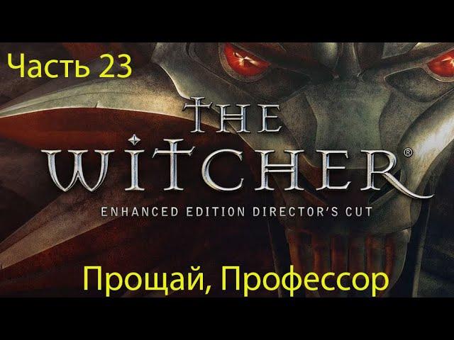 Прохождение The Witcher Enhanced Edition - часть 23: Прощай, Профессор