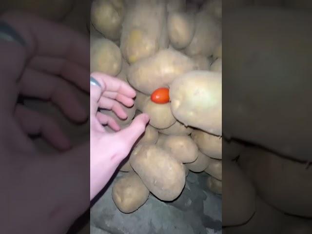 Момо момо а ты момо