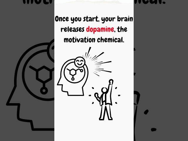This 5 Minute Brain Hack Will Make You Instantly Productive ⏱️