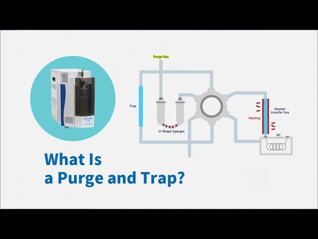 What Is a Purge and Trap Concentrator?