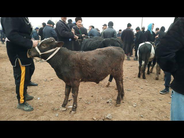 БАНДИХОН  ПАЙШАНБИ БОЗОРИ   МОЛ  НАРХЛАРИ  АРЗОН ЕКАН  БУ ЕРДА....